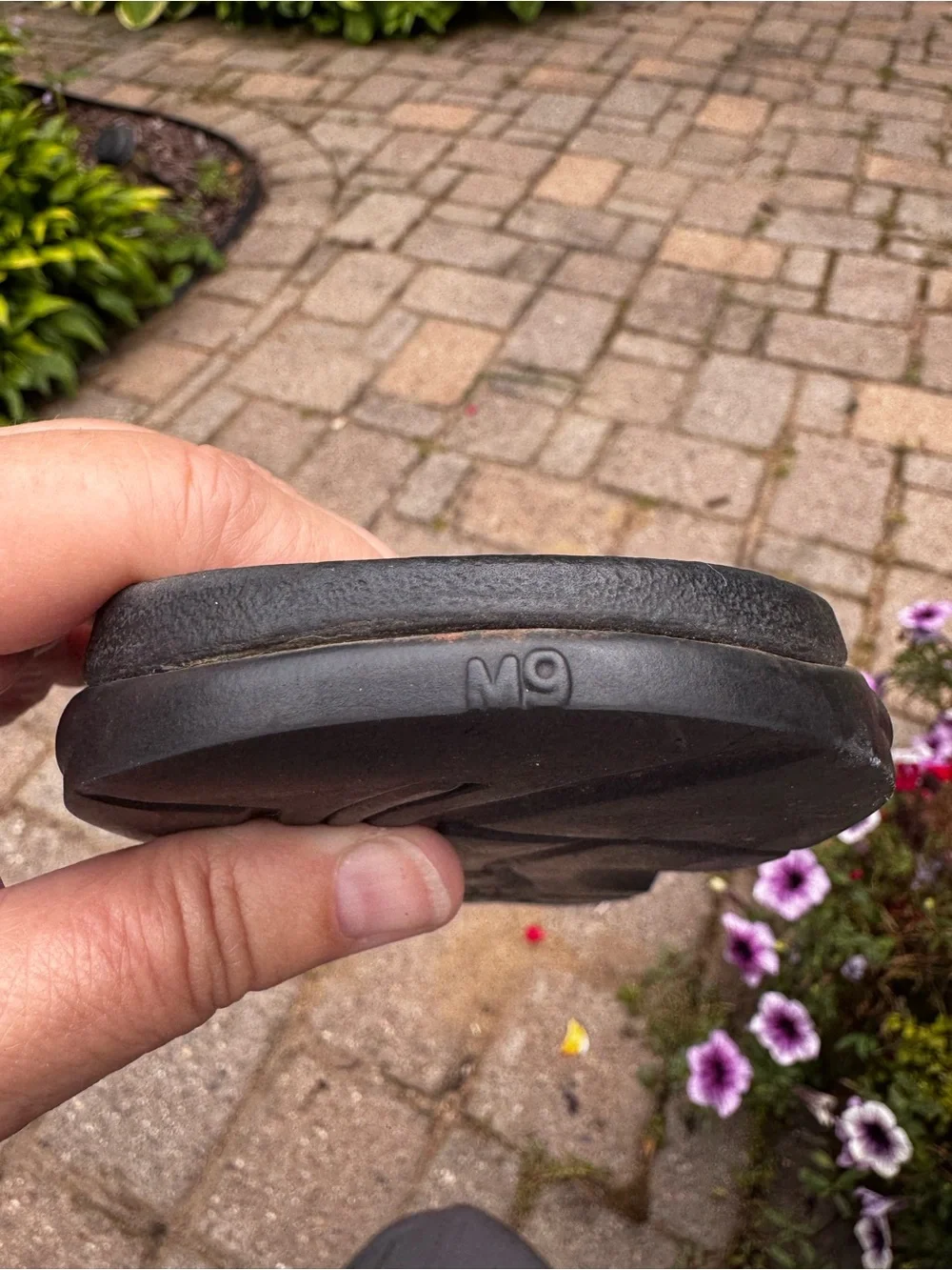 Teva image shows